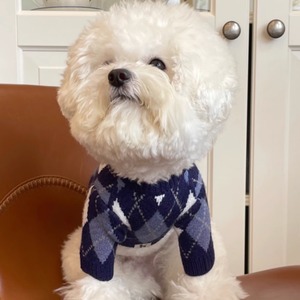 クラシックアーガイル ペットニット【sam019】