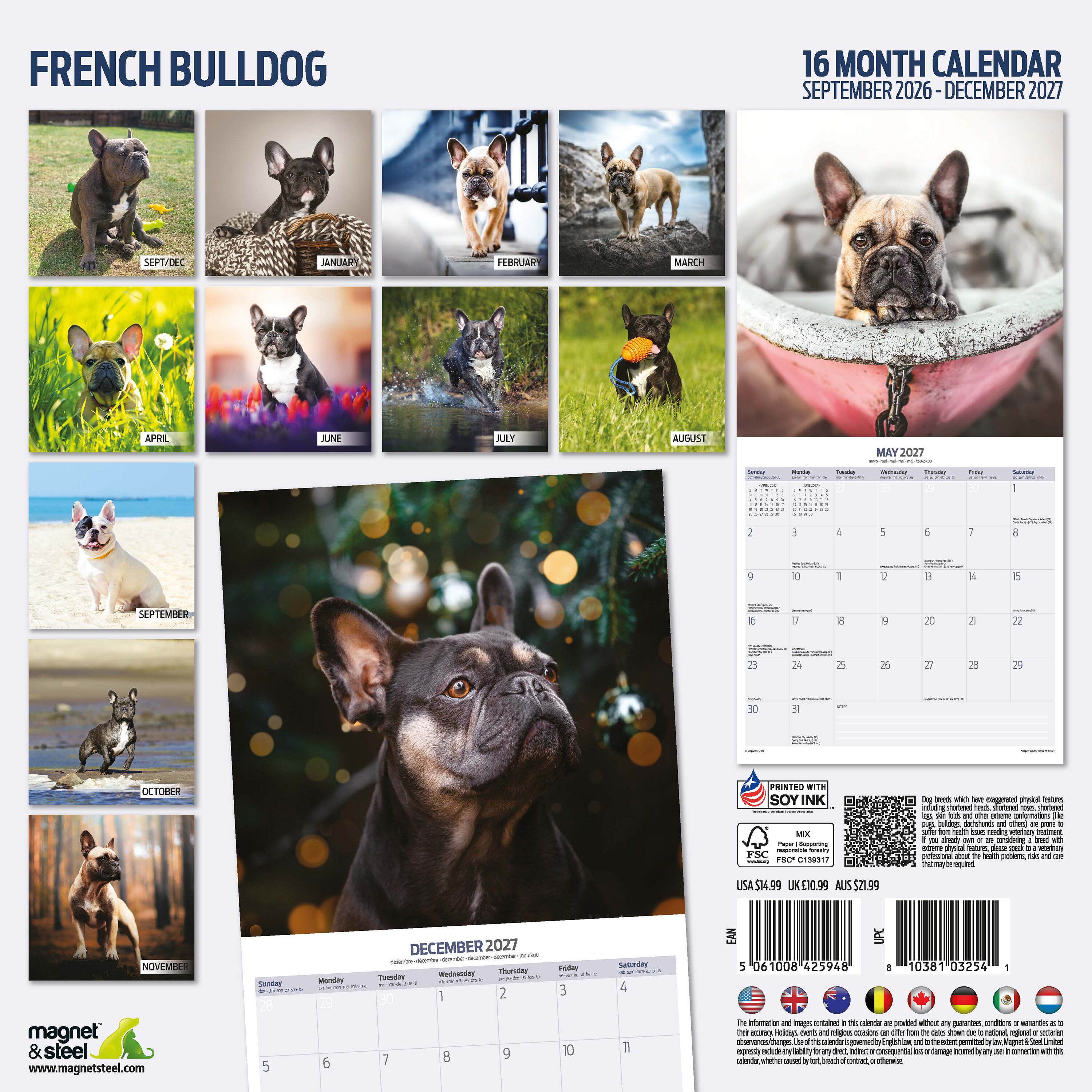 【2027年版】英国製犬種カレンダー【フレンチ・ブルドッグ】Traditional 2027年版