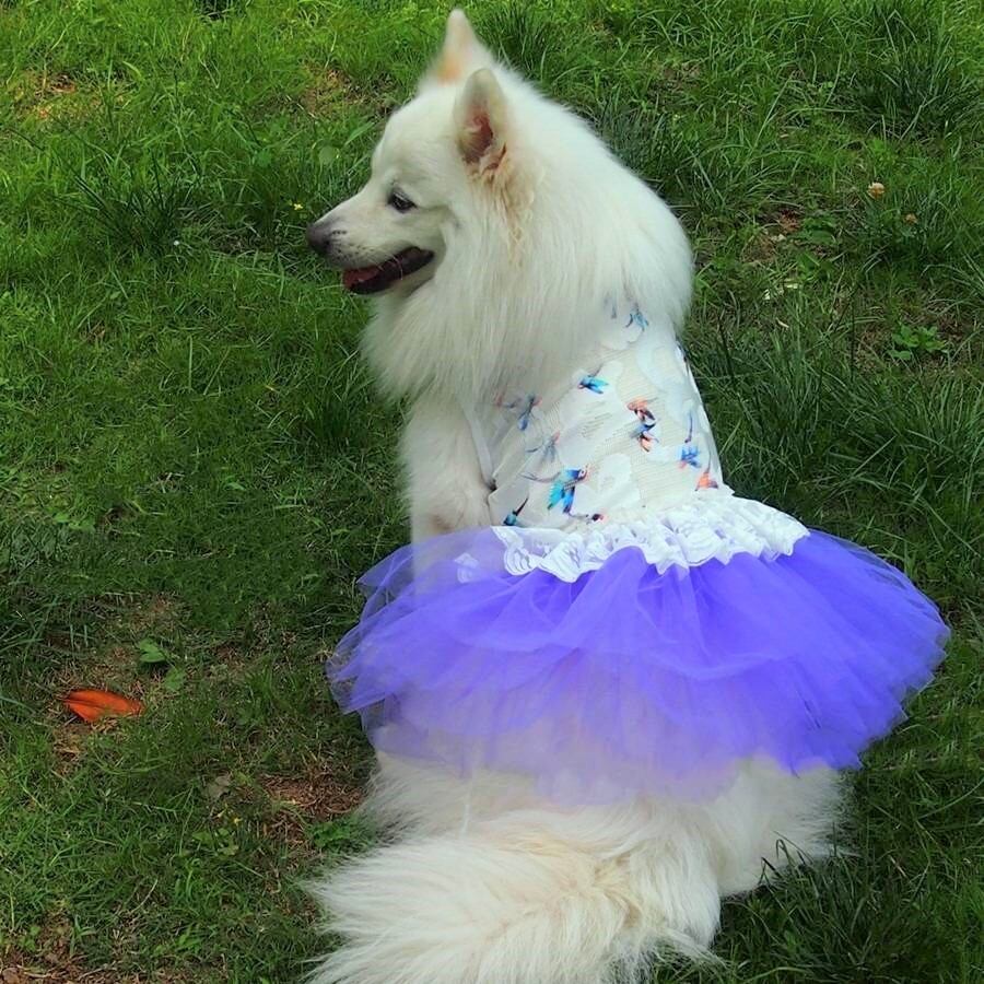 胸囲64~90cm ふんわりチュチュと小鳥柄のワンピース 薄手