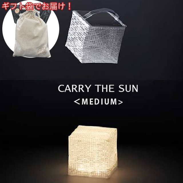 【ギフト袋に入れてお届け！】CARRY THE SUN キャリーザサン  Medium