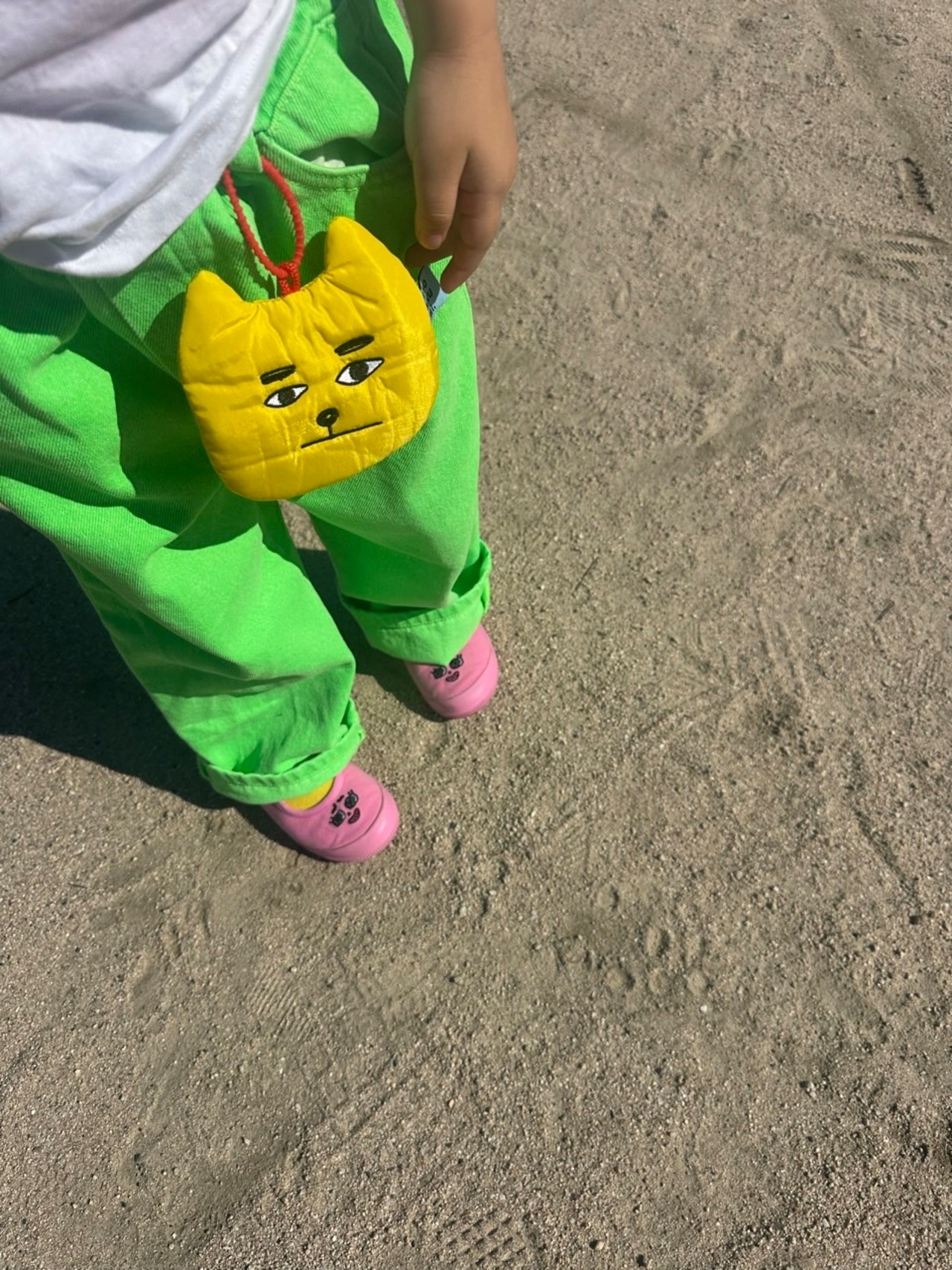 いぬさまミニポーチ(ペット用ポーチ）