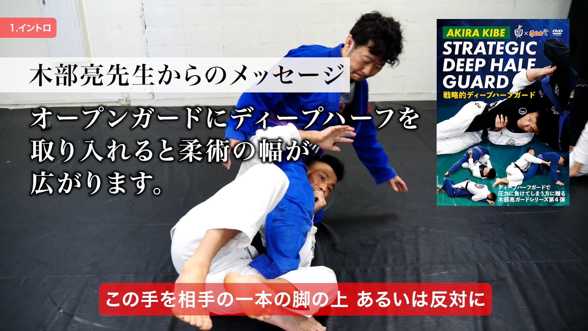 木部亮　ハーフガード DVDセット　柔術　BJJ 木部亮 ハーフガード DVDセット 柔術 BJJ