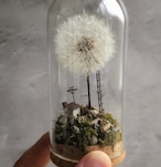 大きな綿毛と小さな家