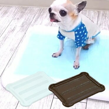 犬 トイレ ピタっとジェル トイレトレー レギュラー シート マット