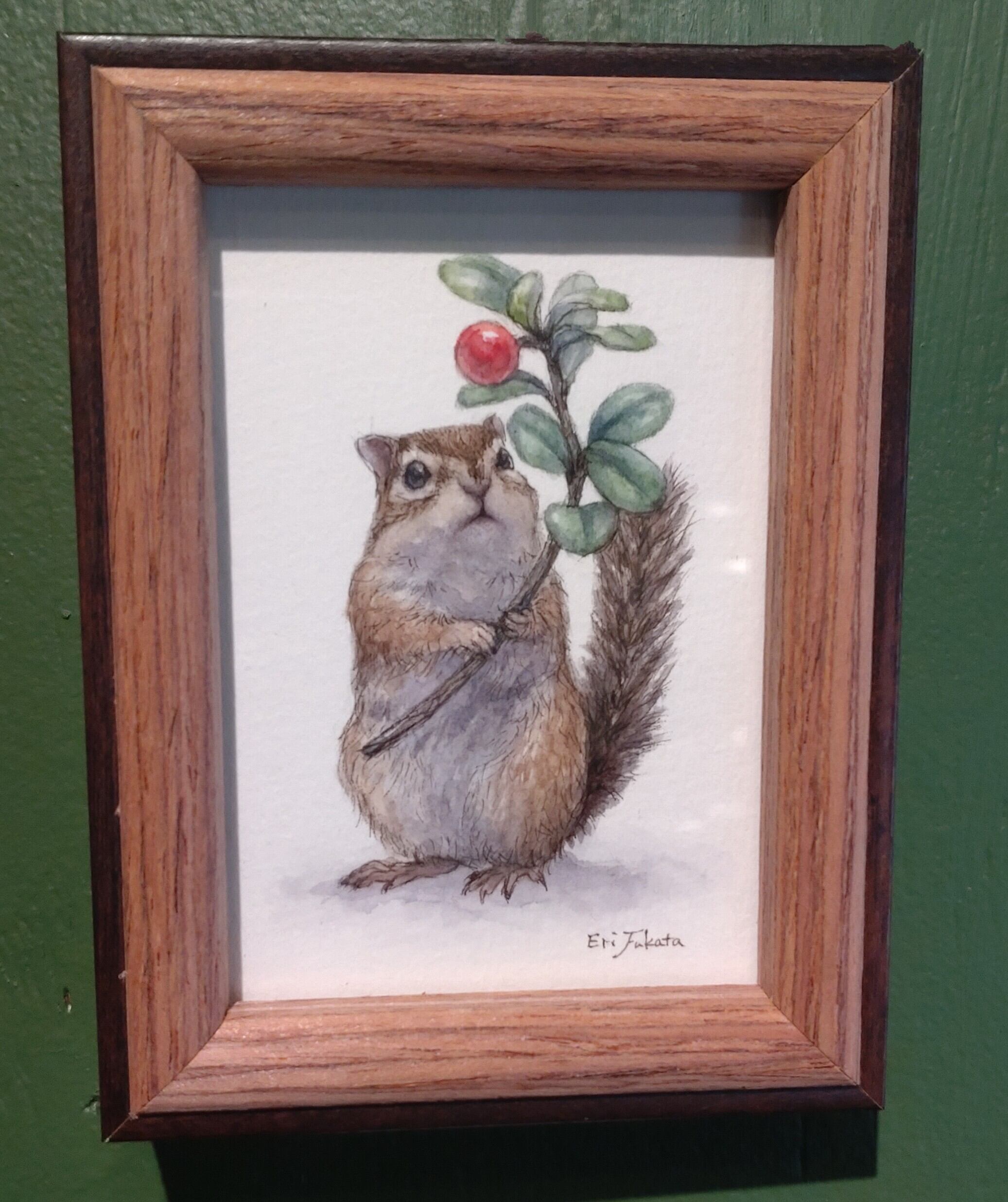 水彩画 原画 栗鼠 水彩画 原画 栗鼠