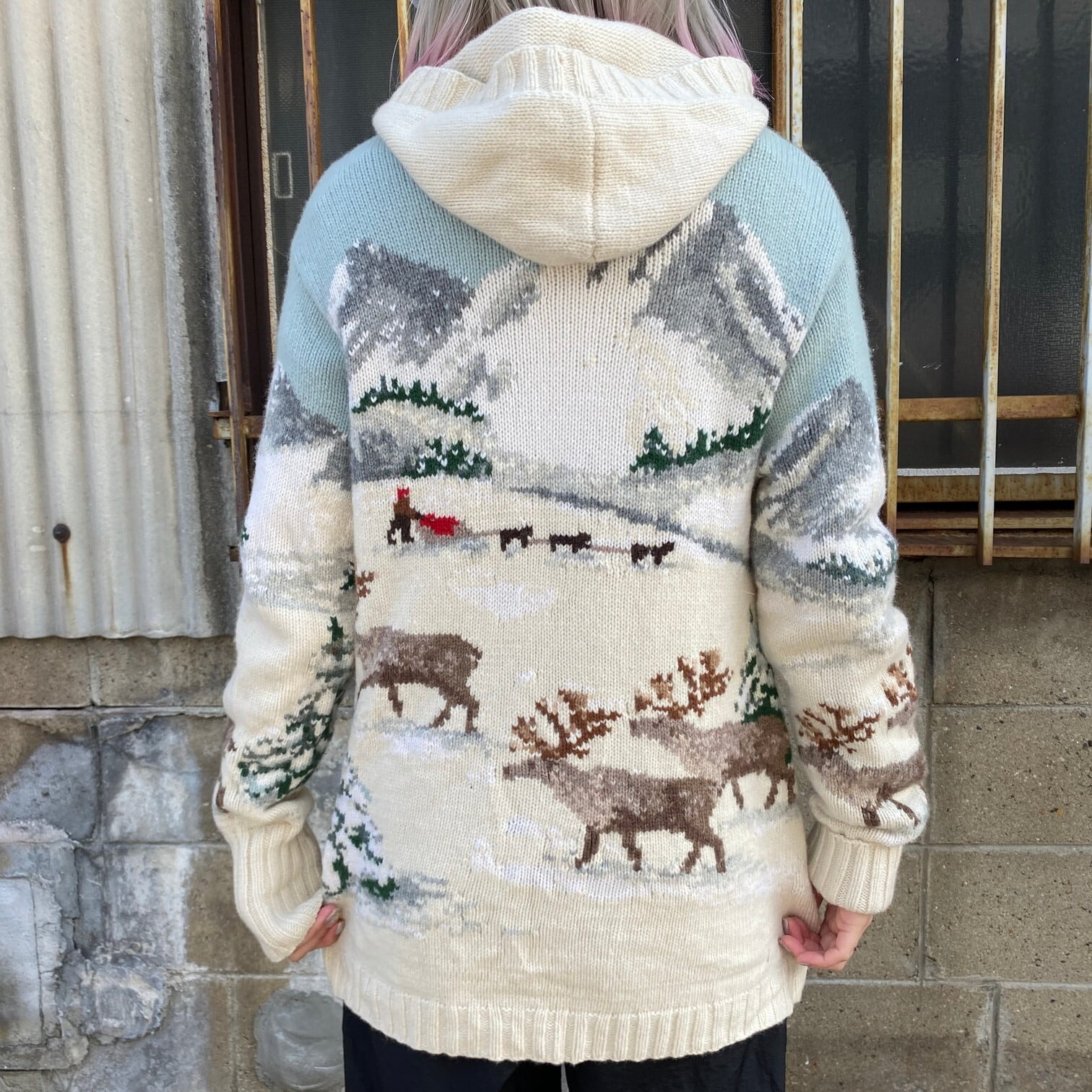 ラルフローレン 総柄 ハンドニット ウールニットパーカー レディースS 古着 Ralph Lauren フーディー 雪山 トナカイ  アニマル【ニットセーター】 | cave 古着屋【公式】古着通販サイト