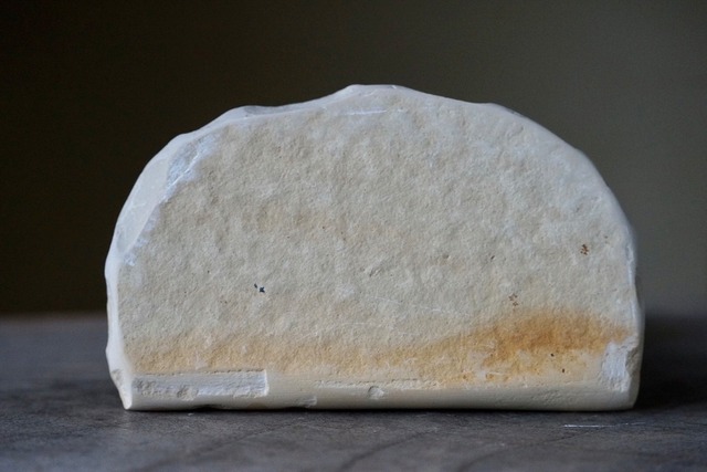 デンドライト 忍石 Dendritic limestone  ⑮