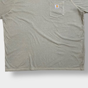 【Carhartt】2XL ビッグシルエット ワンポイント ポケットTシャツ ポケT カーハート FORCE ラグラン 半袖 夏物 US古着