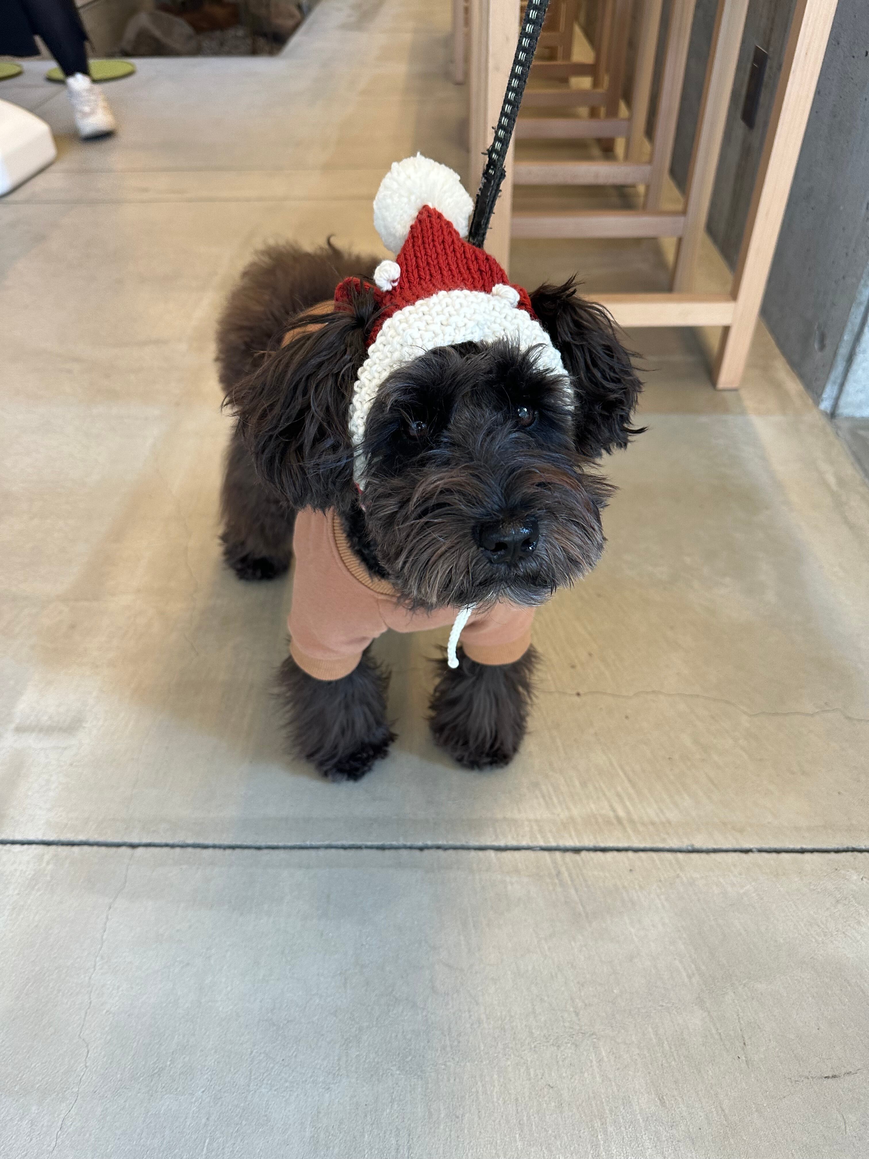 【即納】サンタボンネットMサイズ