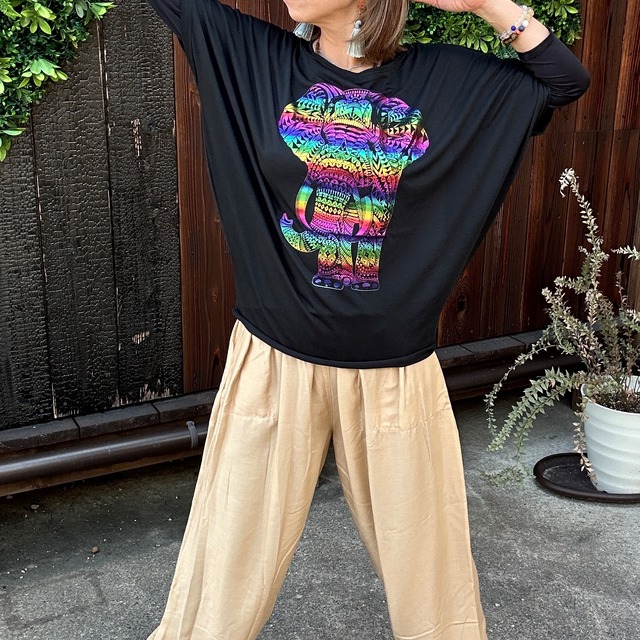 キラキラドルマンぞうさん