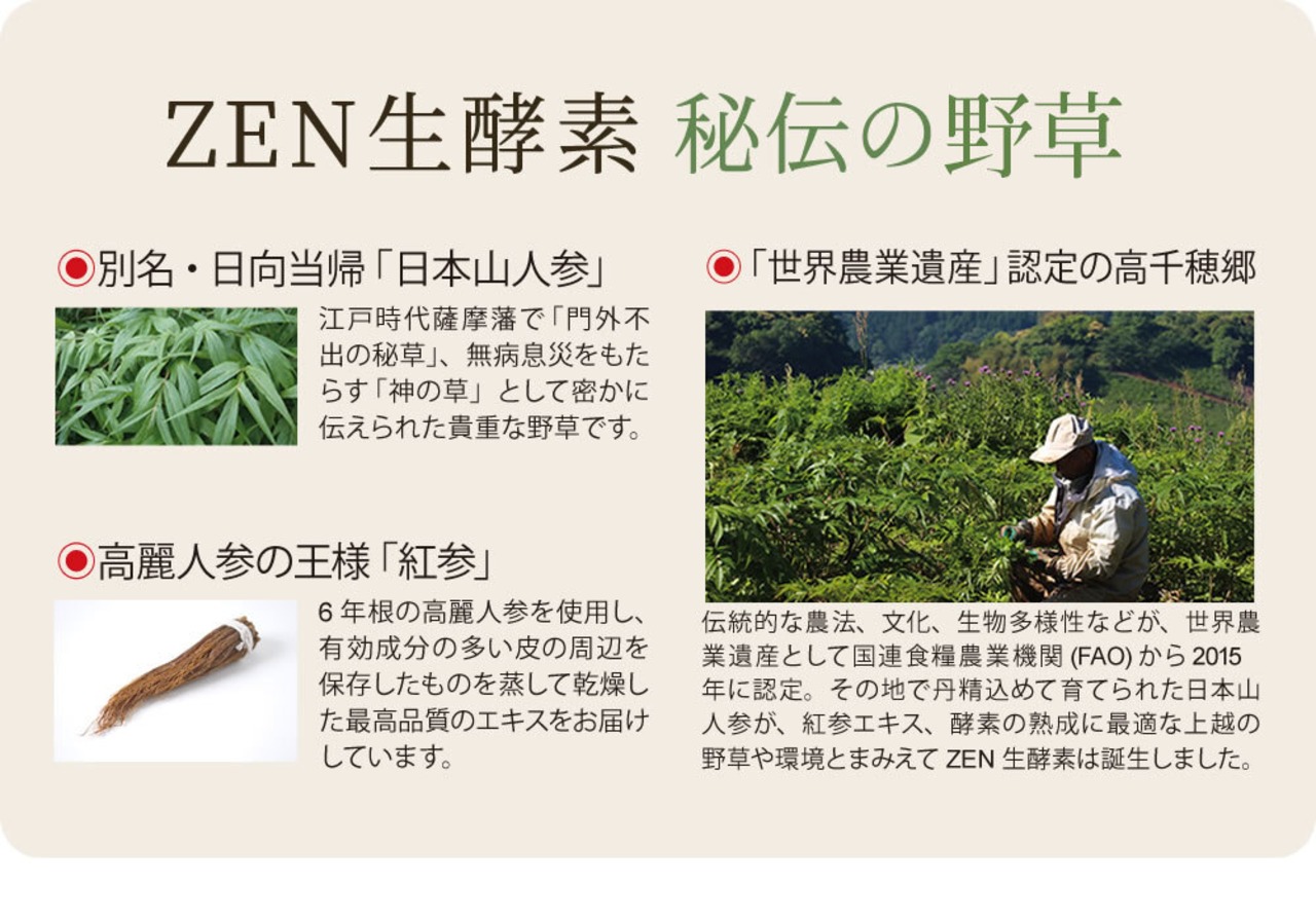 ZEN生酵素 15包入／3袋【MAP酵素 / 野草】