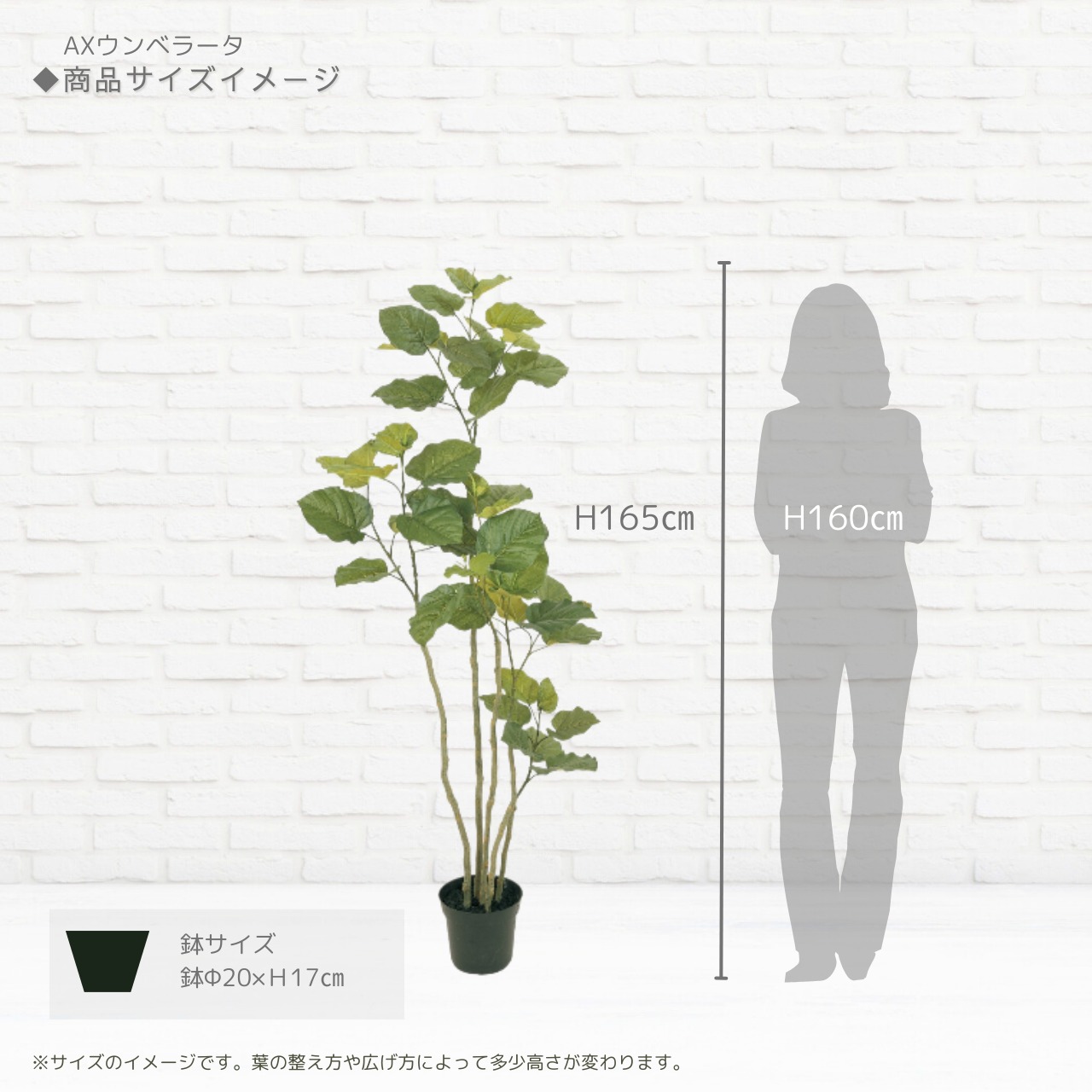 AXウンベラータ165［人工観葉植物・フェイクグリーン］