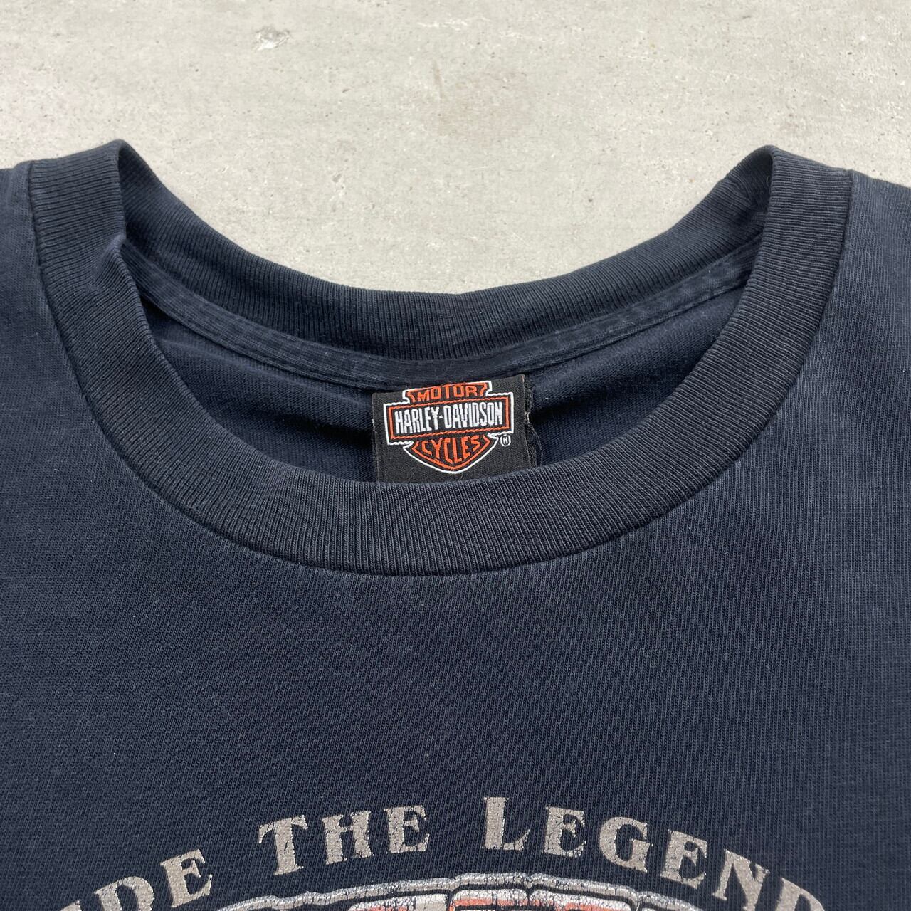 Harley-Davidson ハーレーダビッドソン デザインロゴプリント メンズL
