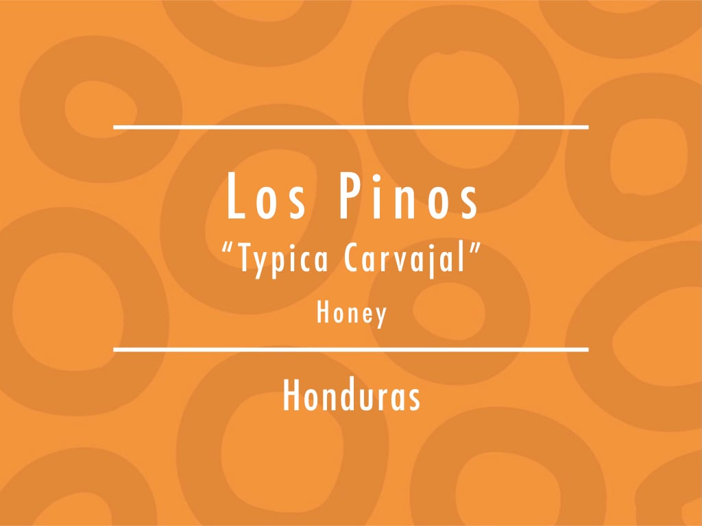 【100g】ホンジュラス / Los Pinos ”Typica Carvajal" Honey