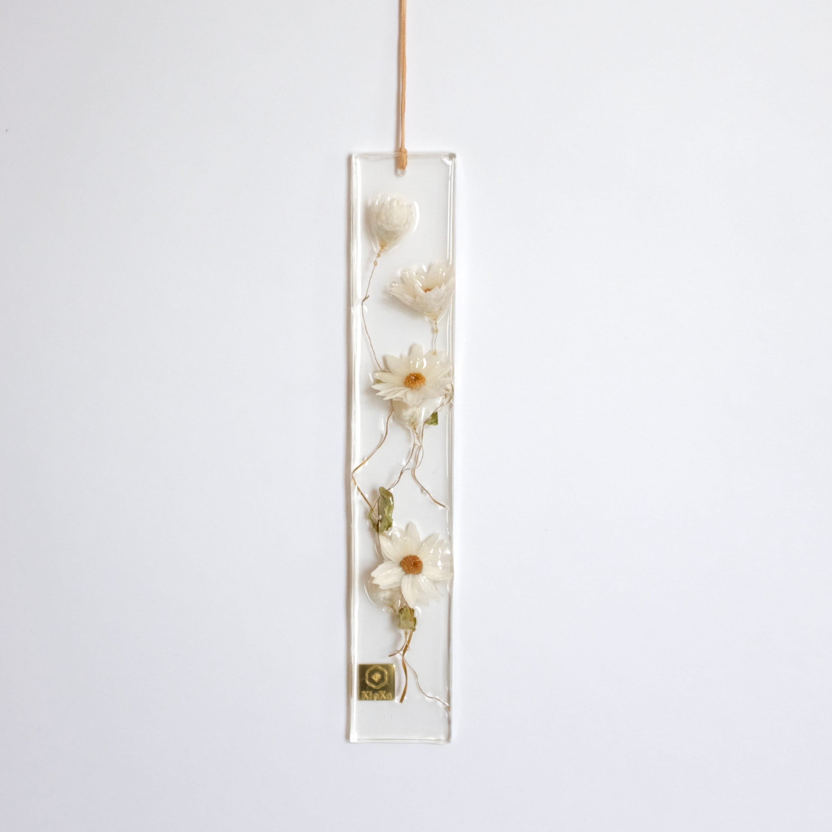 dried flower S ローダンセ ホワイト