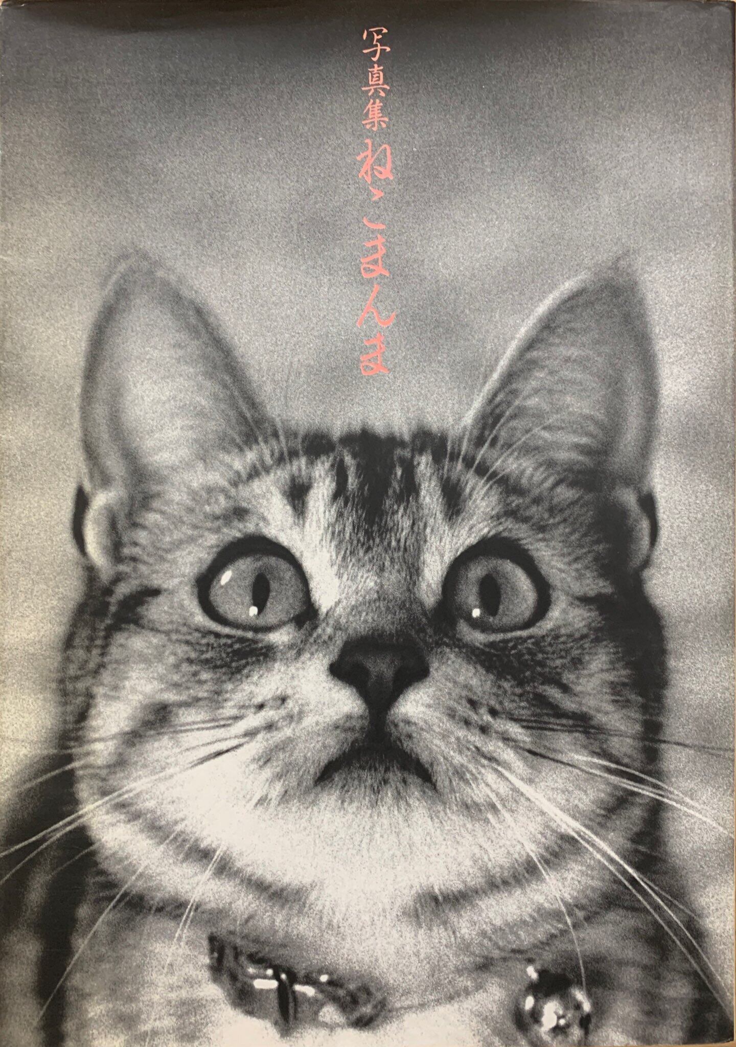 ねこまんま（単行本） | 猫本サロン 京都三条サクラヤ