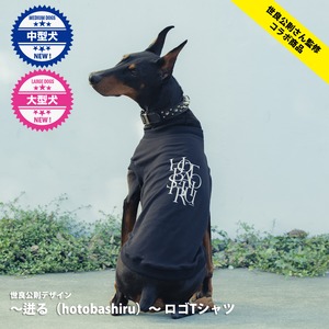 【世良公則さん監修・コラボ商品】世良公則デザイン 〜迸る（hotobashiru）〜 ロゴTシャツ（中・大型犬）【送料無料】