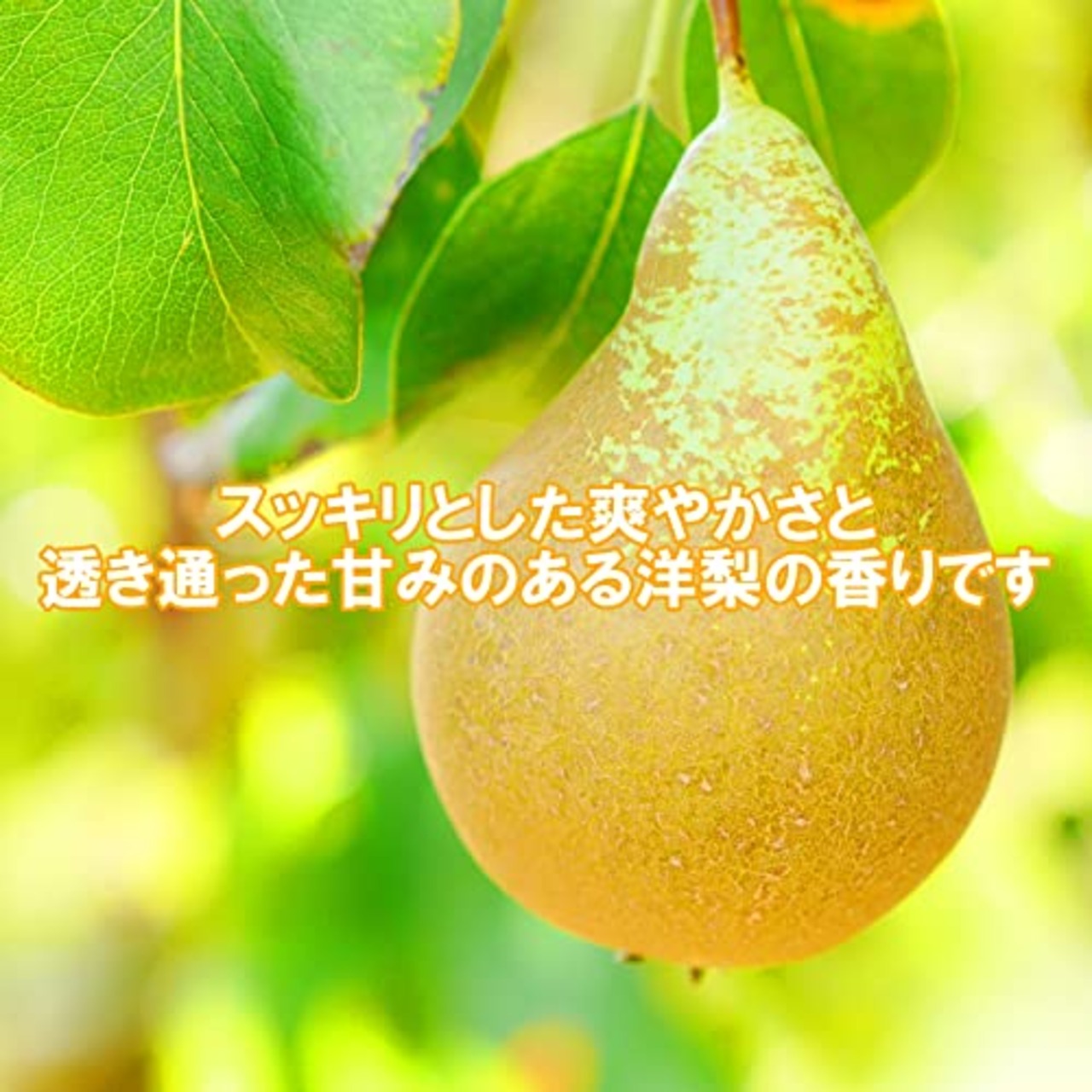 [コロンブス] 水のいらない汚れ落とし スニーカーシャンプー 泡状フォームタイプ ブラシ付き ニュートラル 220ml