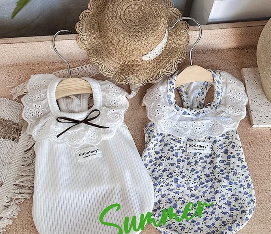 《予約》1102244 DDキャシーサマートップス