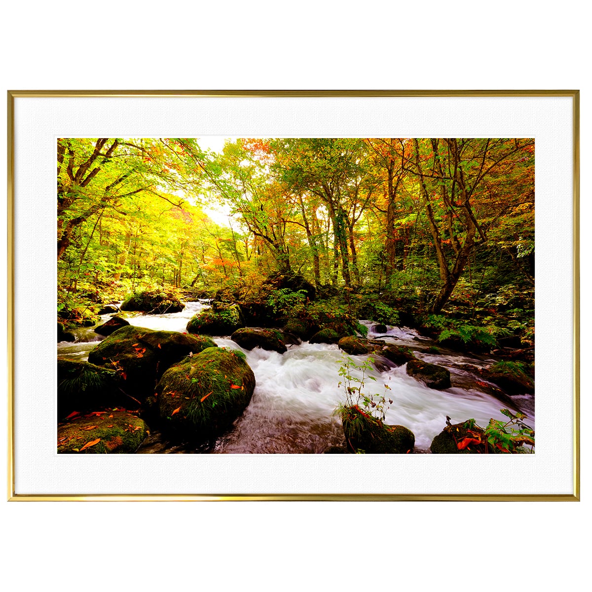 中島和長、【phorical】、希少な額装用画集より、美品 秋写真 紅葉(日本) 東北 十和田八幡平国立公園 インテリアアート