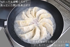 エゾ鹿肉　お肉を味わう餃子　12個入　北海道アイヌネギ（行者にんにく）