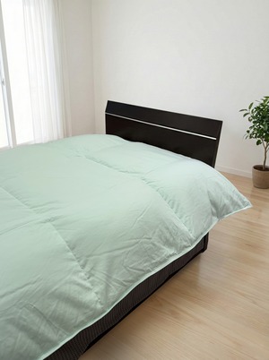 ホイップ【ダブル】【ミント】【DP400】