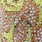 社交ダンス 衣装 スタンダードドレス ワンピース ドレス グリーン系 イエロー系 黄緑 黄色 蛍光 フロート レース フリル デモ 競技 ダンス パーティ 発表会 華やか 明るい色 衣装 発表会用