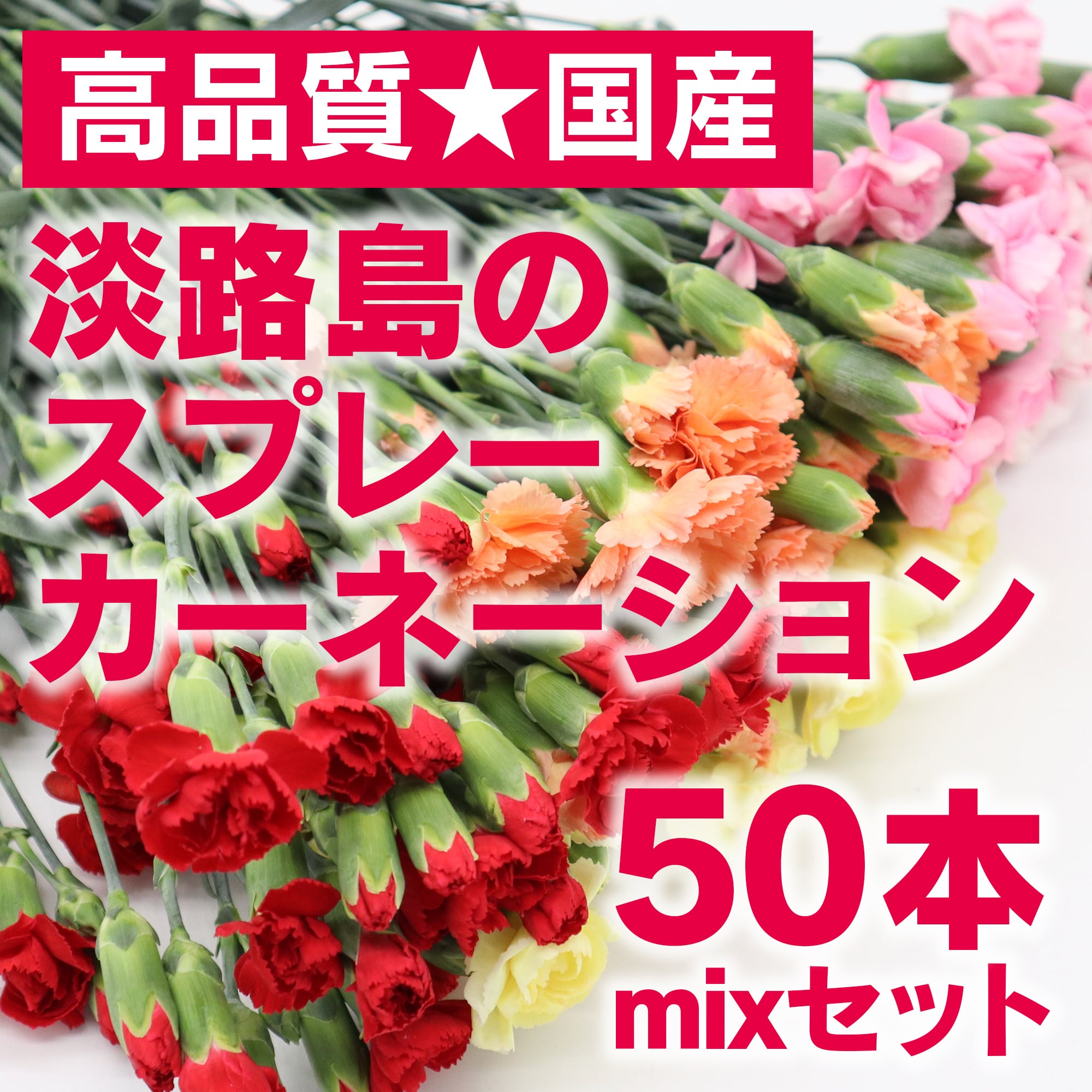 高品質 国産 淡路島産 スプレーカーネーション 50本 Mixセット 可憐 色とりどり 国産を応援 スマイルフラワープロジェクト