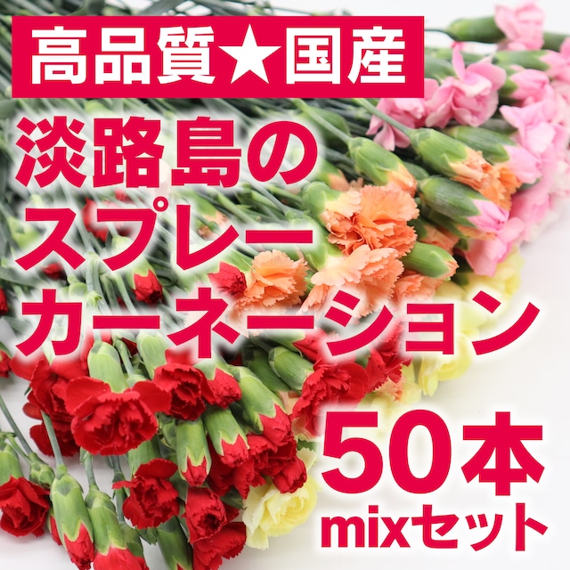 ☆高品質の国産☆淡路島のスプレーカーネーション 50本 mixセット★可憐＆色とりどり★国産を応援！