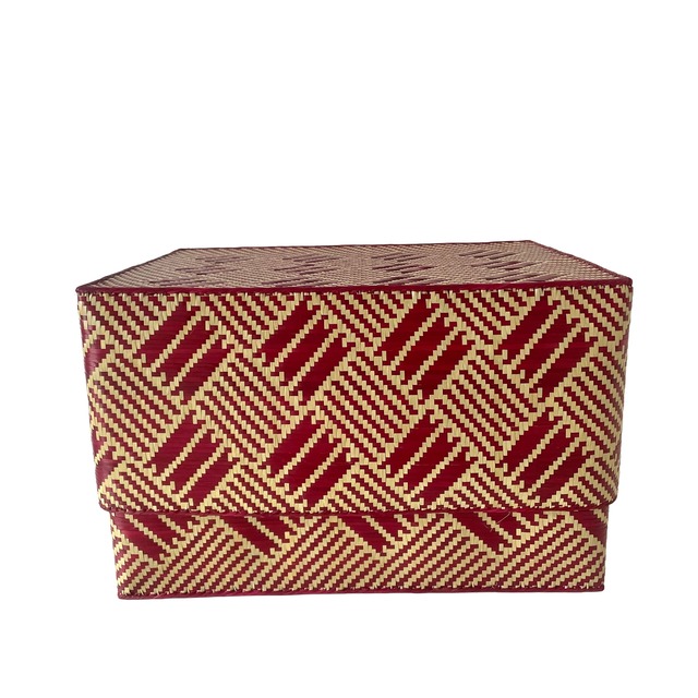 Rectangular colourful basket LL w40.5cm×30cm×h24.5cm四角カラフル蓋付き収納かご特大サイズ