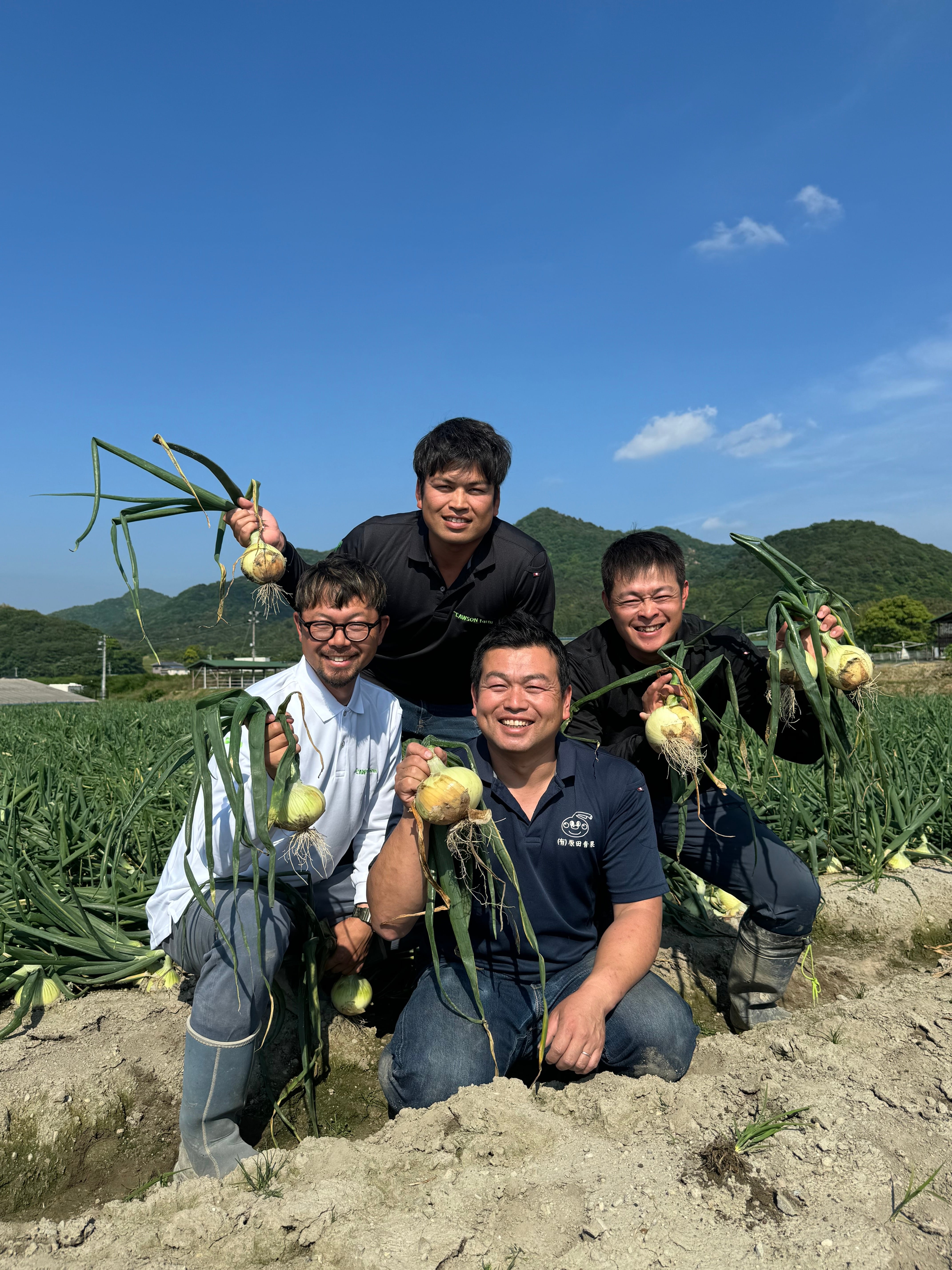 淡路島新玉ねぎ 新一番 20kg 送料・税込み | 原田兄弟の一番玉ねぎ