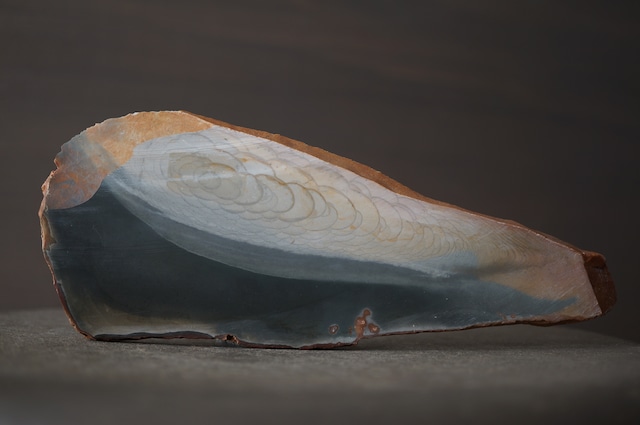 ポリクロームジャスパー Polychrome Jasper 1961