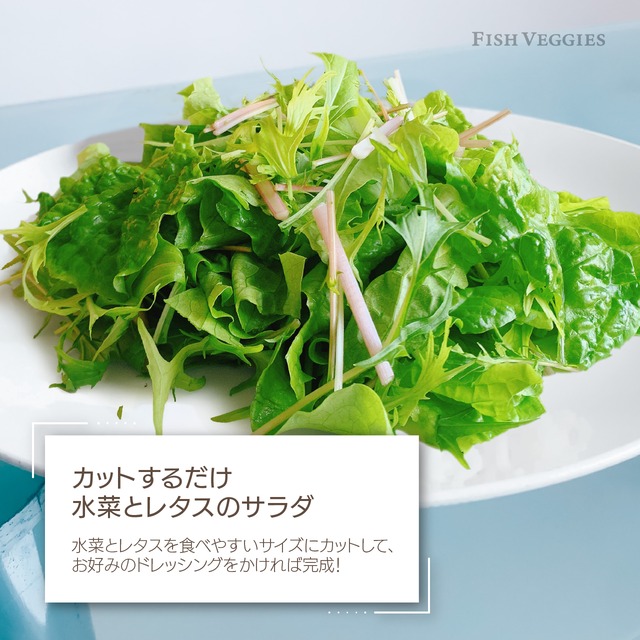 【FISH VEGGIES】水菜とレタスのサラダセット 90g　化学肥料/農薬不使用だから安心して食べられる