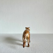 植田 楽さん／#01　ツシマヤマネコ