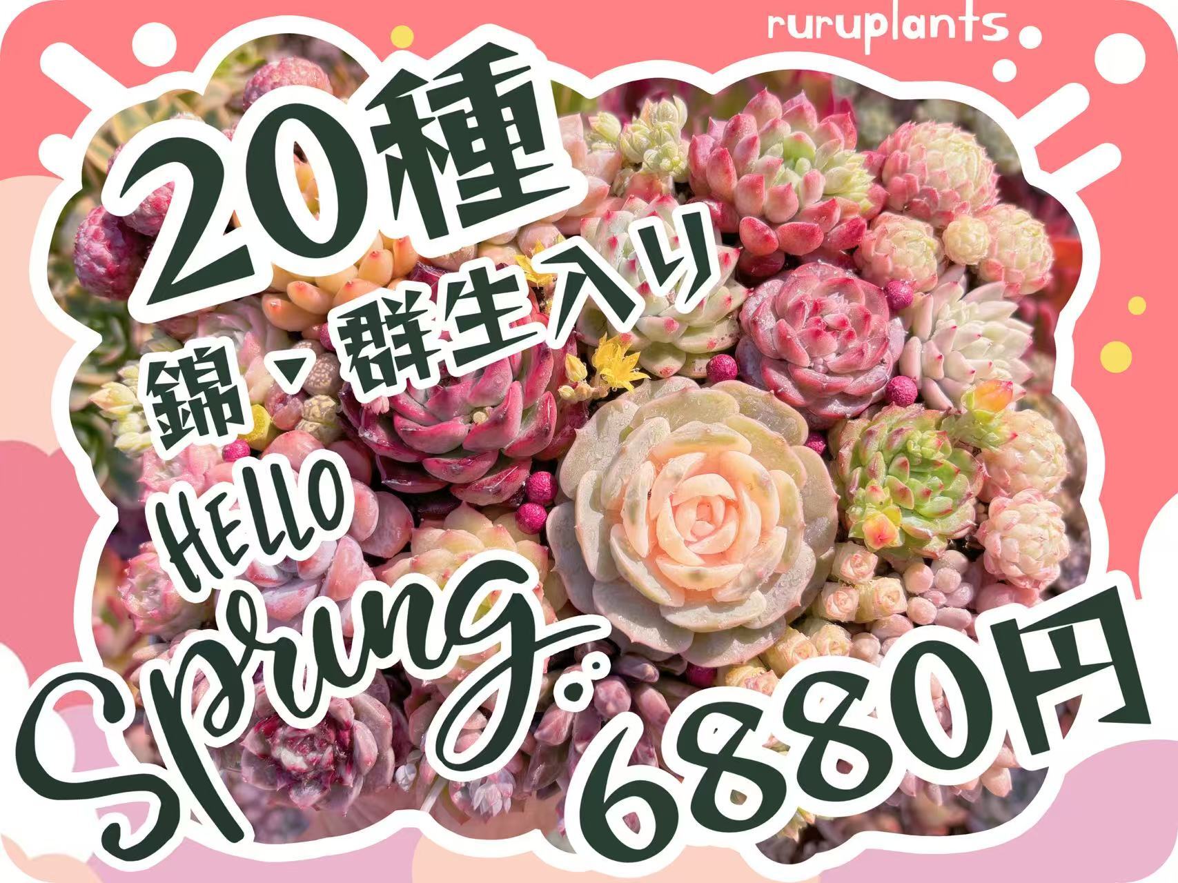 ★Spring~20種セット★第2弾