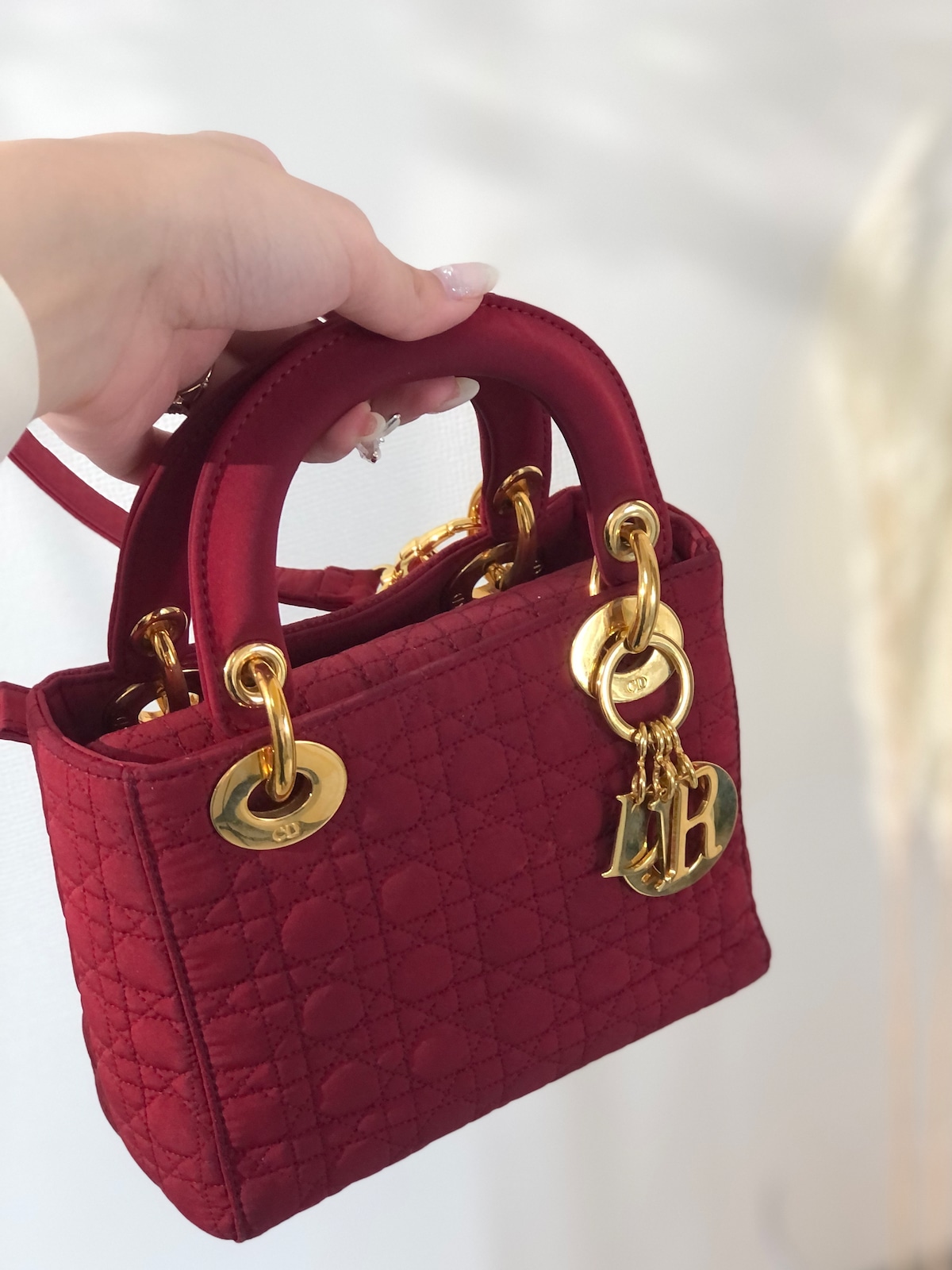 Christian Dior クリスチャン ディオール カナージュ レディディオール 