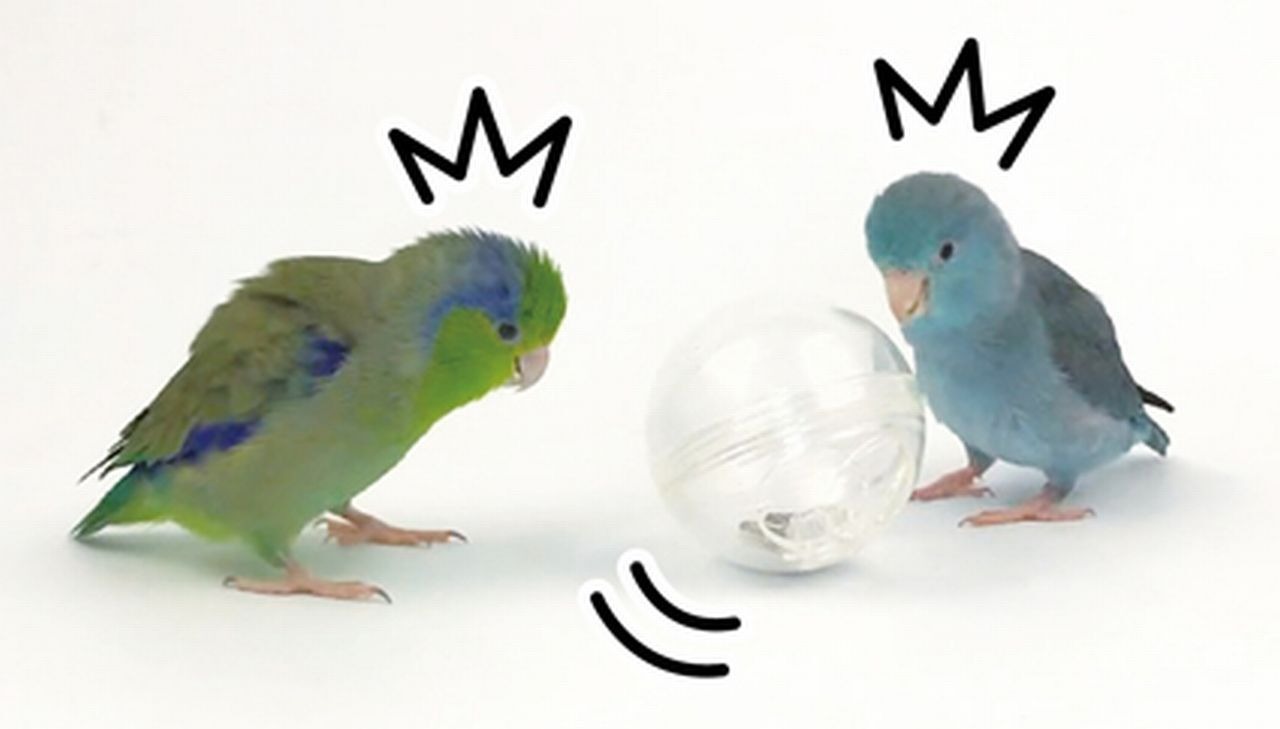 【三晃商会】　フォージングトイ 　よろよろボール