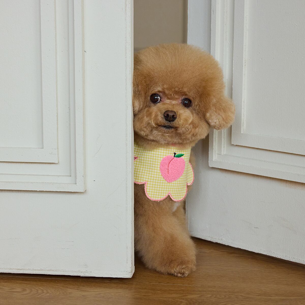 即納【BURGERS】Burgers Fruit Dog Bib (Peach)