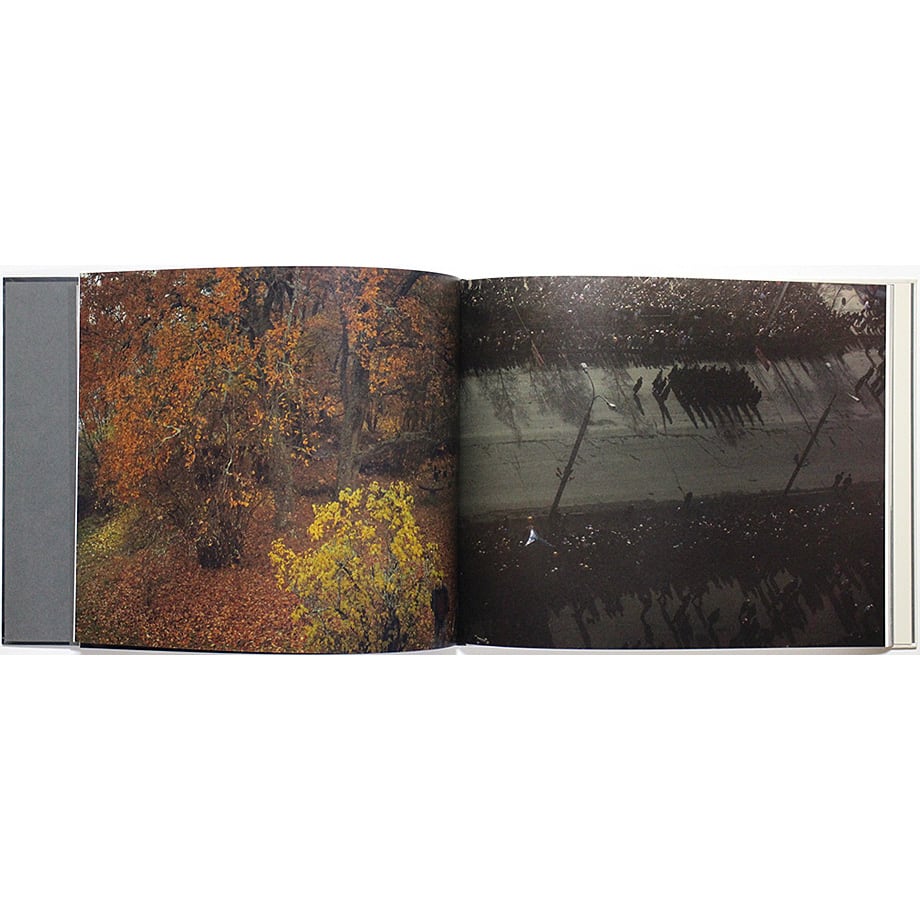 Martina Hoogland Ivanow: Far Too Close マルティーナ・ホーグランド