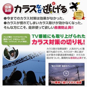 カラスなぜ逃げる? 強力タイプ お得な5個セット撃退率95％以上 カラス撃退 カラス対策 カラスよけ カラス除け からす 対策 グッズ 烏 からす カラス 忌避 駆除 車 鳥 糞 よけ カラス 撃退グッズ ゴミ置き場 鳥よけ ゴミ カラスよけ カラス 撃退 ベランダ ボックス