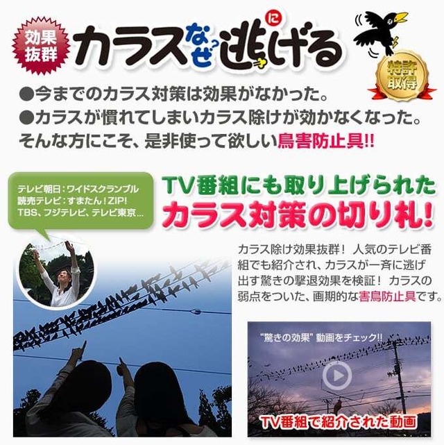 カラスなぜ逃げる? 強力タイプ お得な5個セット撃退率95％以上 カラス撃退 カラス対策 カラスよけ カラス除け からす 対策 グッズ 烏 からす カラス 忌避 駆除 車 鳥 糞 よけ カラス 撃退グッズ ゴミ置き場 鳥よけ ゴミ カラスよけ カラス 撃退 ベランダ ボックス