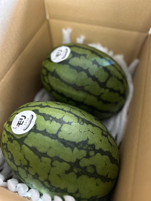 小さな体に、甘さを凝縮『激甘ウリボースイカ』・画像2
