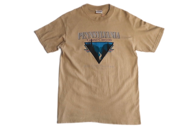 USED 90s Hanes Beefy "PENNSYLVANIA Grand Canyon" T-shirts -Medium 02083