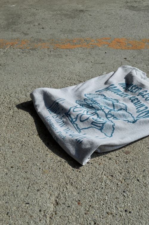 1995's From USA "MENSER-GLOVER FAMILY REUNION" USA Local Event Old Print Tee Single Stitch シングルステッチT オールドプリントT