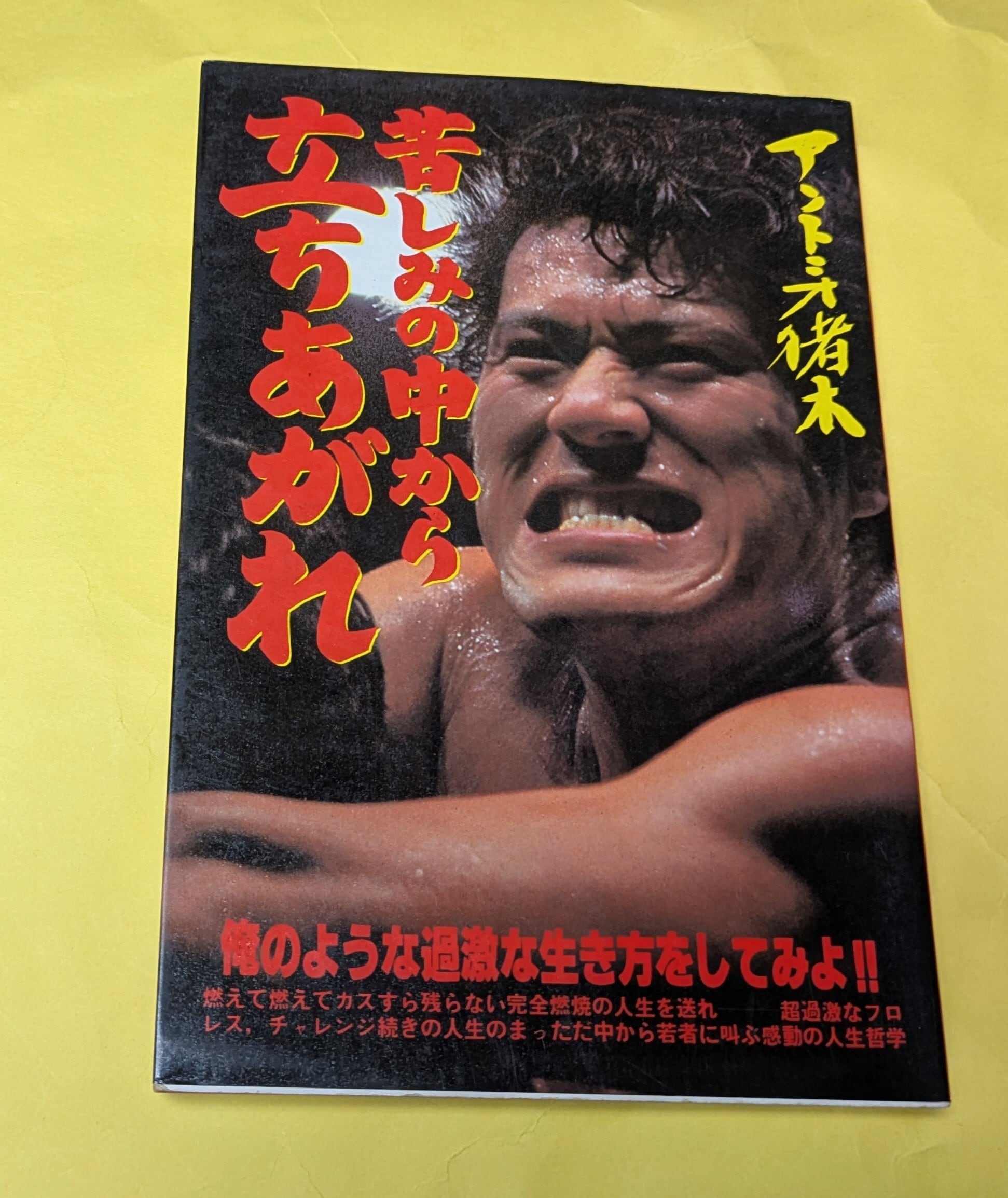 スピン」第1号 | ら・むだ書店
