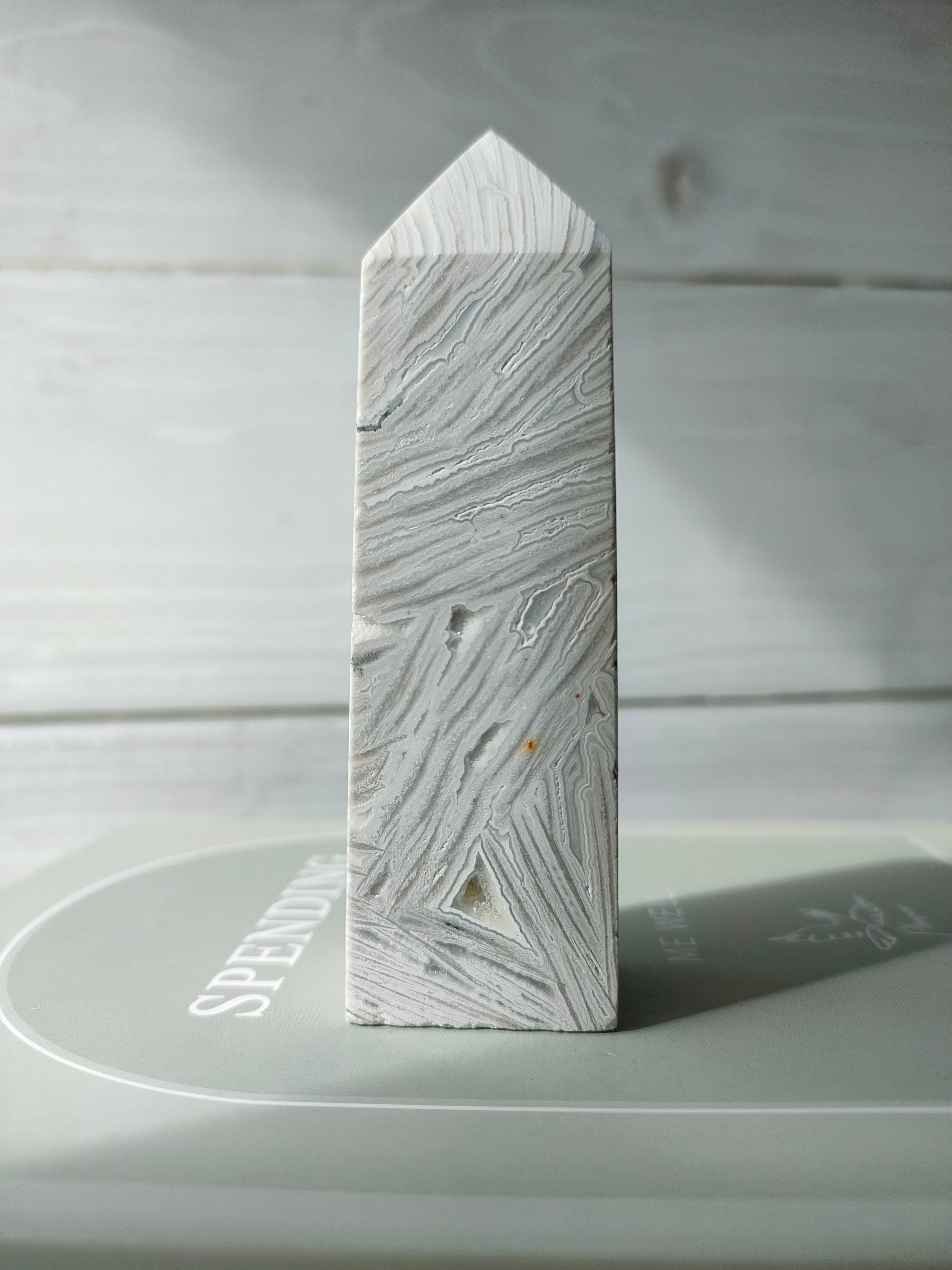 メキシカン クレイジーレースジャスパー