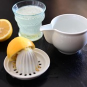 東屋　ジューサー［4573503821329］