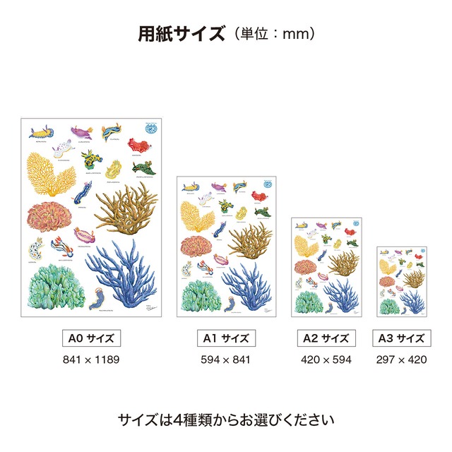【ウォールステッカー】海の生きもの-08