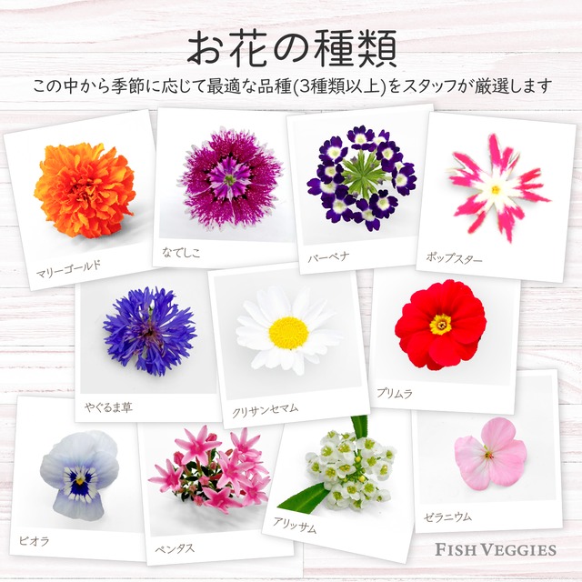 【エディブルフラワー】詰め合わせ・化学肥料/農薬不使用の安心して食べられるお花　20輪