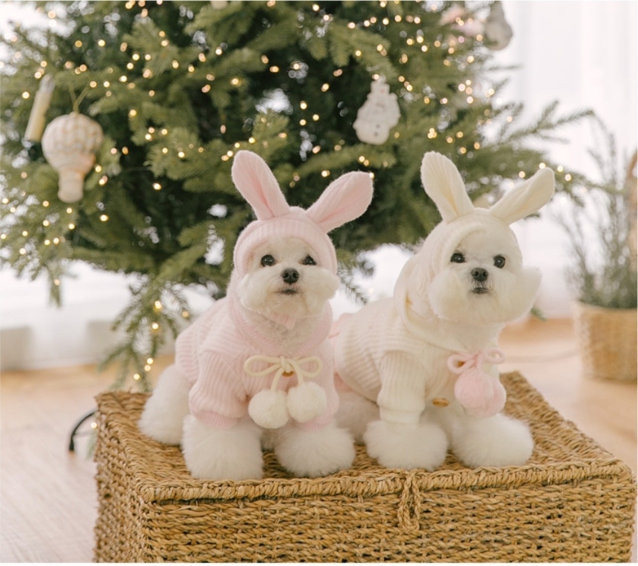 即納【Todley】Snow Pompom Ops (Ivory)